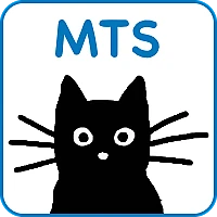 ExpressionEngine Add-on - JCOGS Auto-Translate
